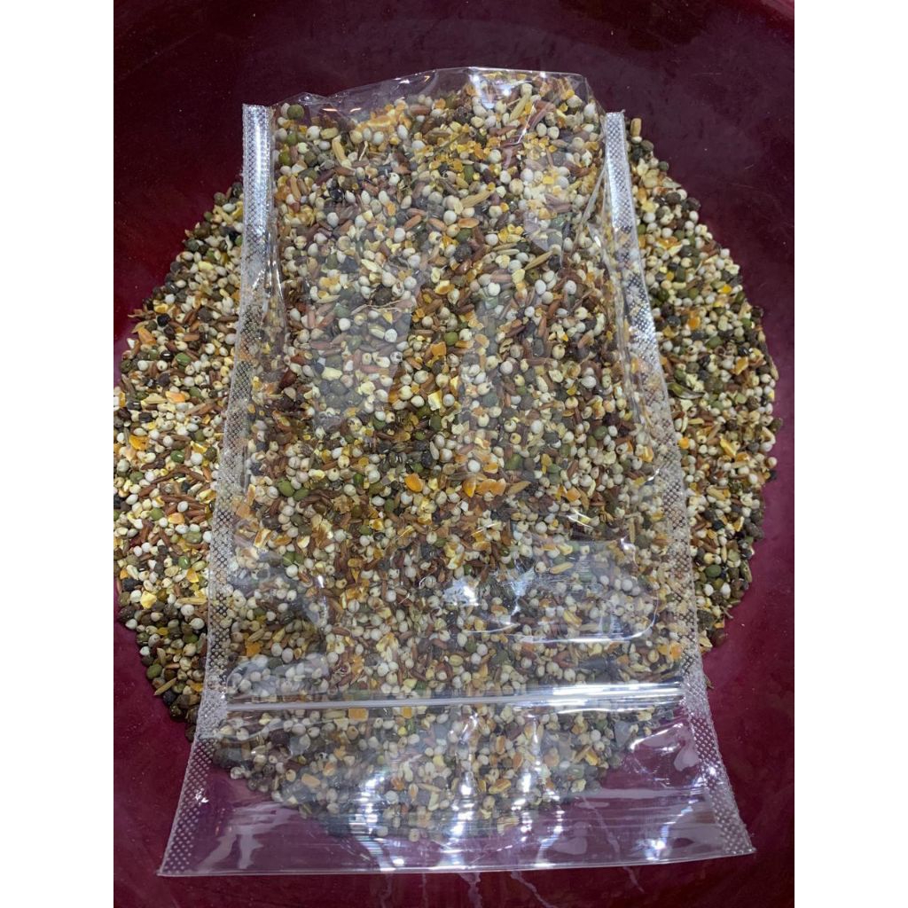 JAGUNG PECAH CAMPUR SUPER PAKAN BURUNG PUTER BANGKOK/TEKUKUR/AYAM ADU