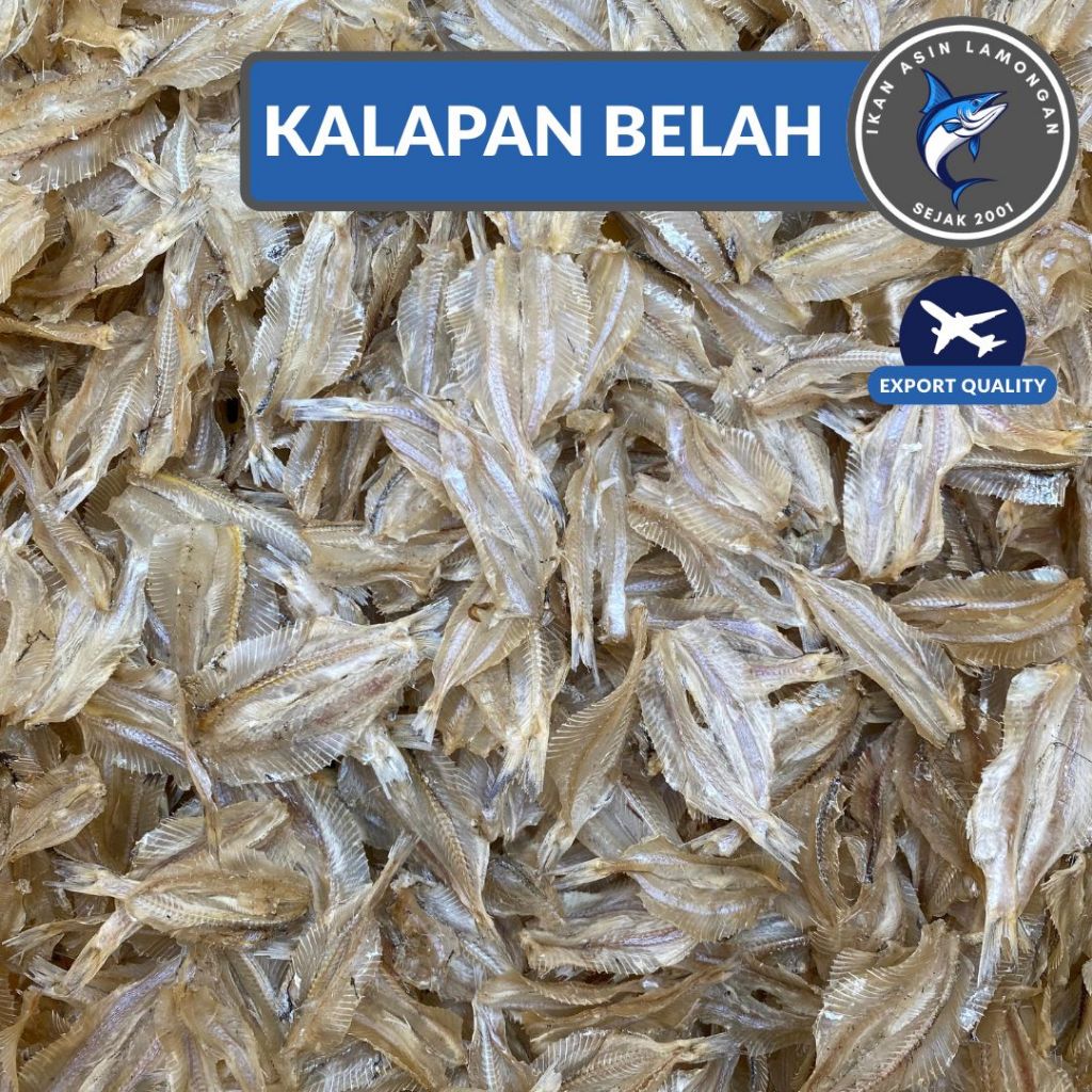 

Ikan Asin Lamongan Kalapan belah kaca-kaca tawar tipis krispi kualitas export