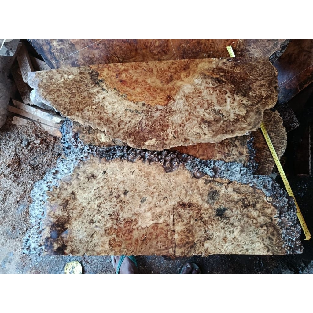 papan amboyna burl
