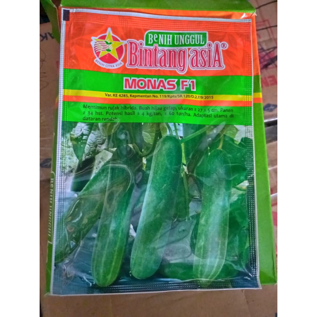 BENIH TIMUN MONAS F1 20GR