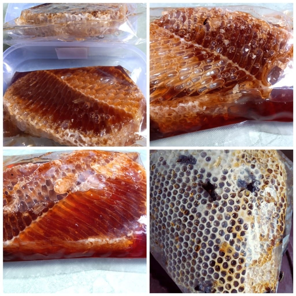 

1Kg Madu Sarang Hutan Liar (Madu Sialang) Asli dan Murni