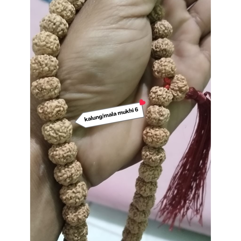 Tasbih kalung 108+1 mukhi 6 natural orijinal jenitri alami asli