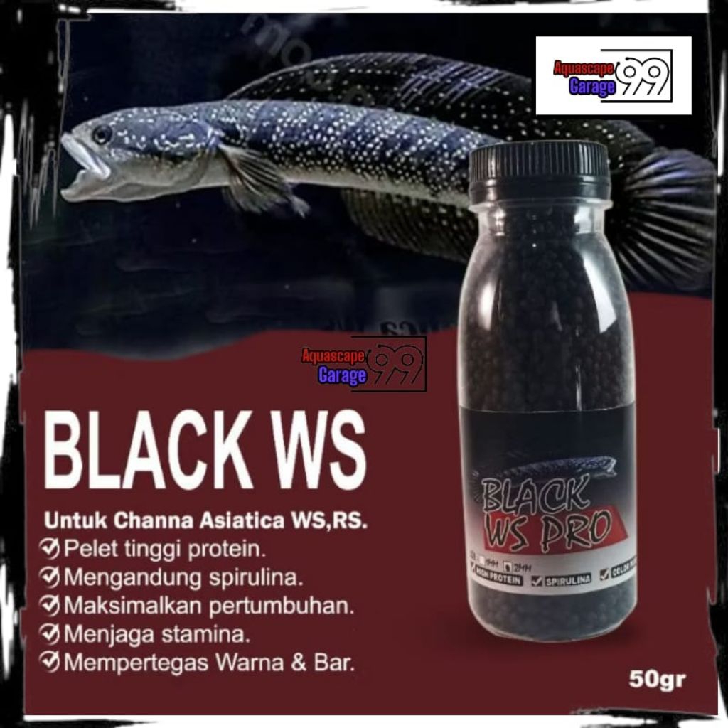 Pelet black ws pro ikan chana asiatica / pelet chana asiatica / pakan ikan chana / pelet chana / pel