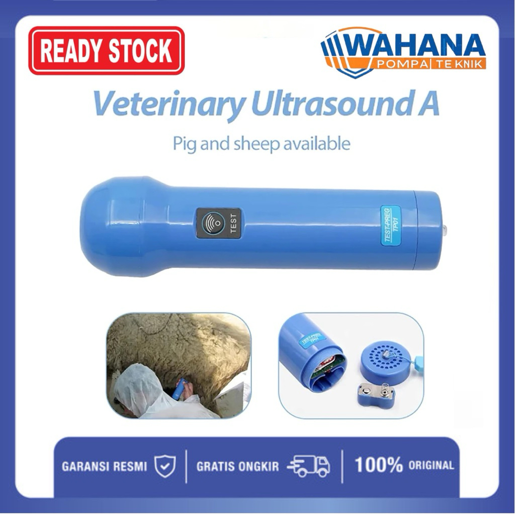 Veterinary Ultrasound A | Alat USG Hewan Portable untuk Babi & Domba USG Hewan Portable Veterinary U