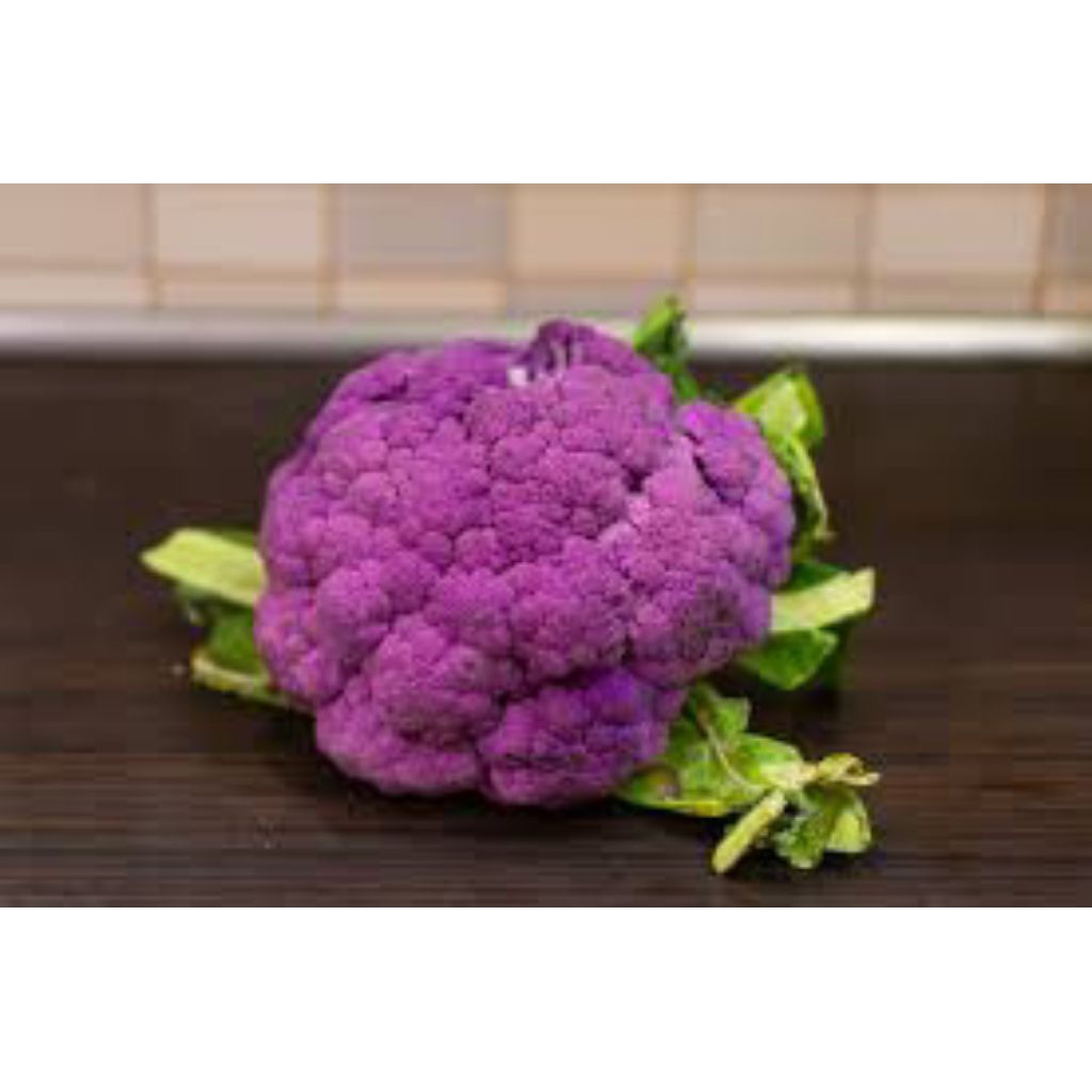 ( 50 BUTIR ) BENIH BIJI BROKOLI UNGU