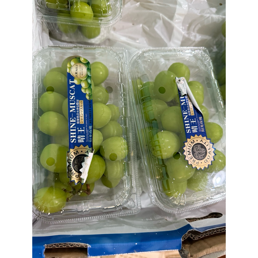 Buah Anggur 500gram Muscat