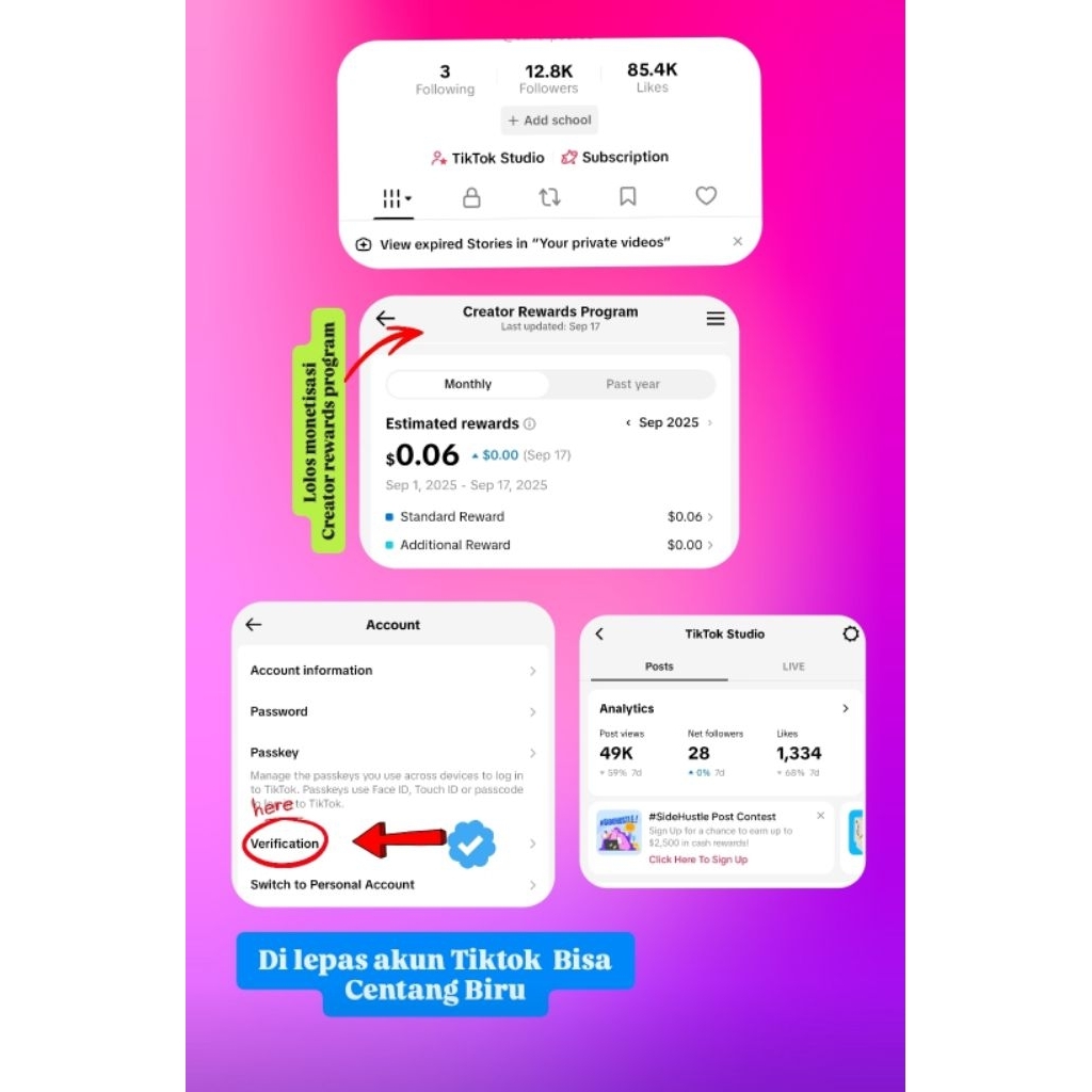 Tiktok siap ajukan centang biru