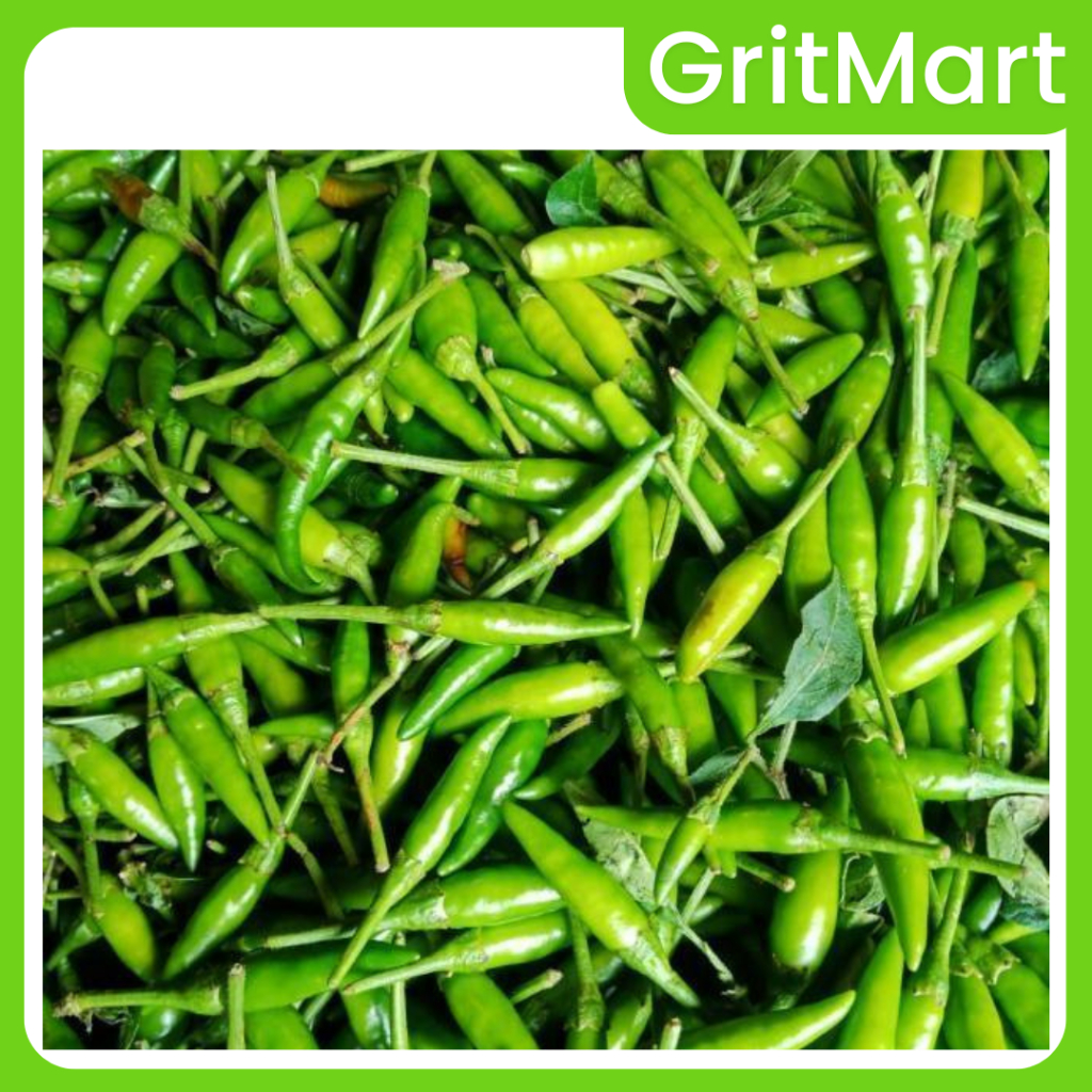 

PAKET GROSIR I Cabai Rawit Hijau 2 kg I Cabe Rawit Ijo