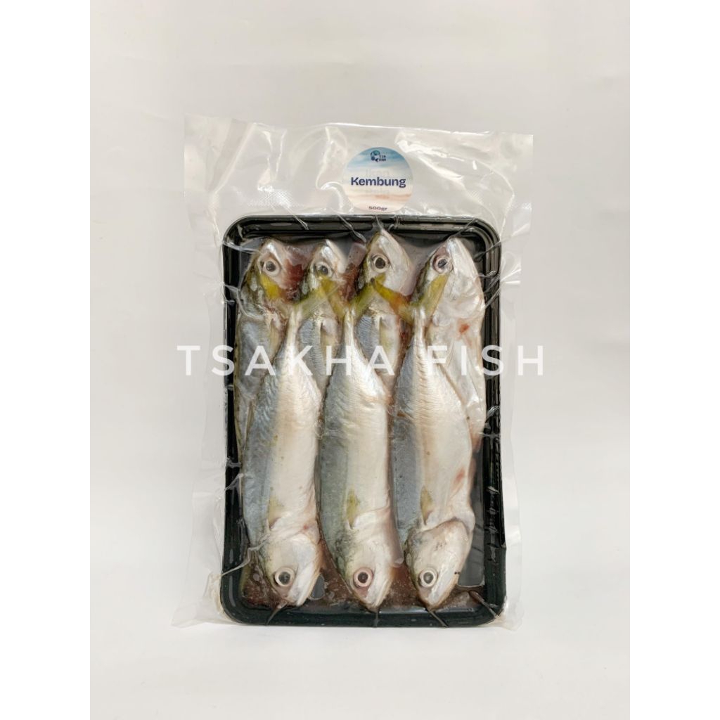 

Tsakha Fish - Ikan Kembung Banjar Mpasi Tinggi Omega