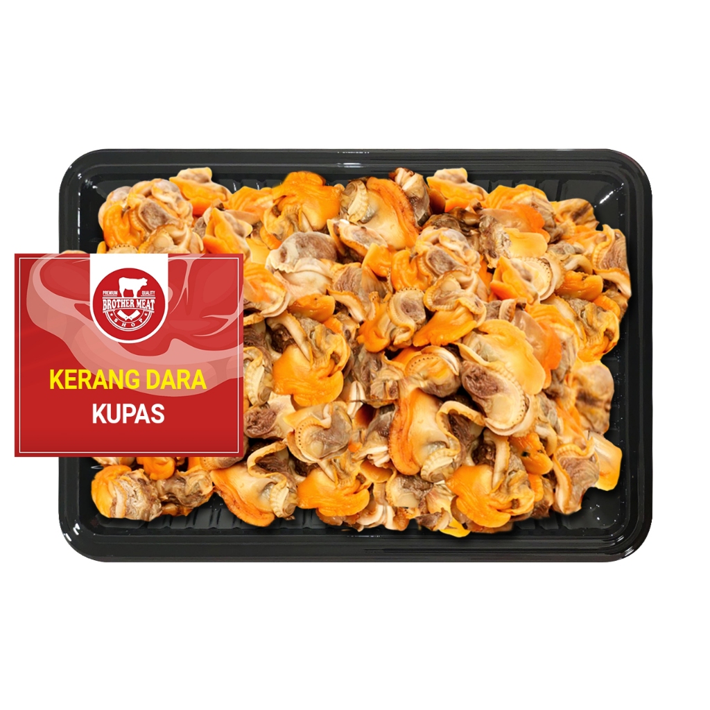 Kerang Dara Kupas Beku 500gr - Brothermeatshop