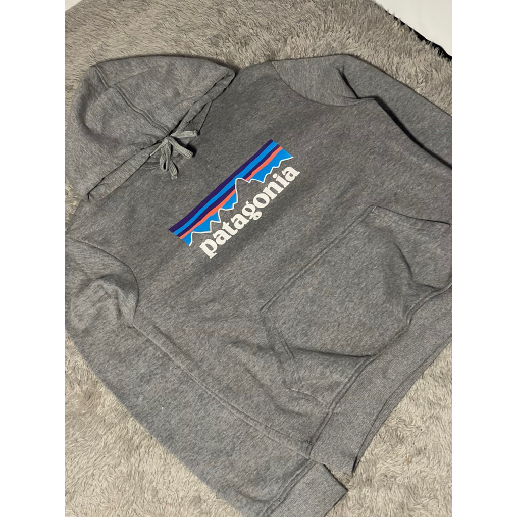 HOODIE PATAGONIA