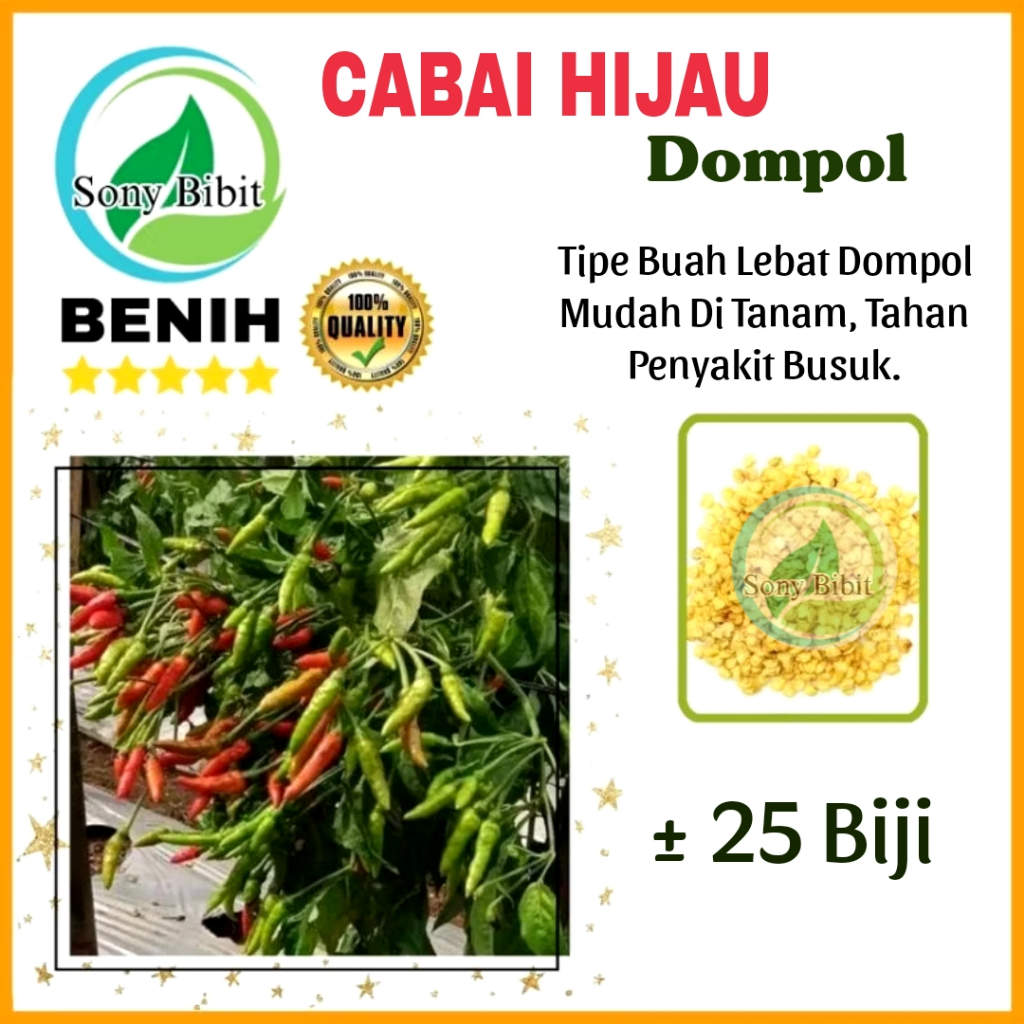 Benih Cabai Rawit Hijau Dompol Benih Unggulan Petani Rumahan Mudah Di Budidayakan