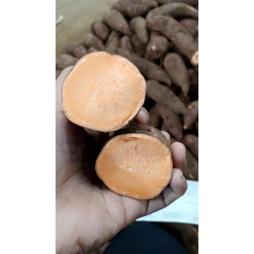 Ubi Jalar Merah Ceret 1kg - Red Orange Sweet Potato Ubi Jalar Merah Rebus / Goreng / Kukus