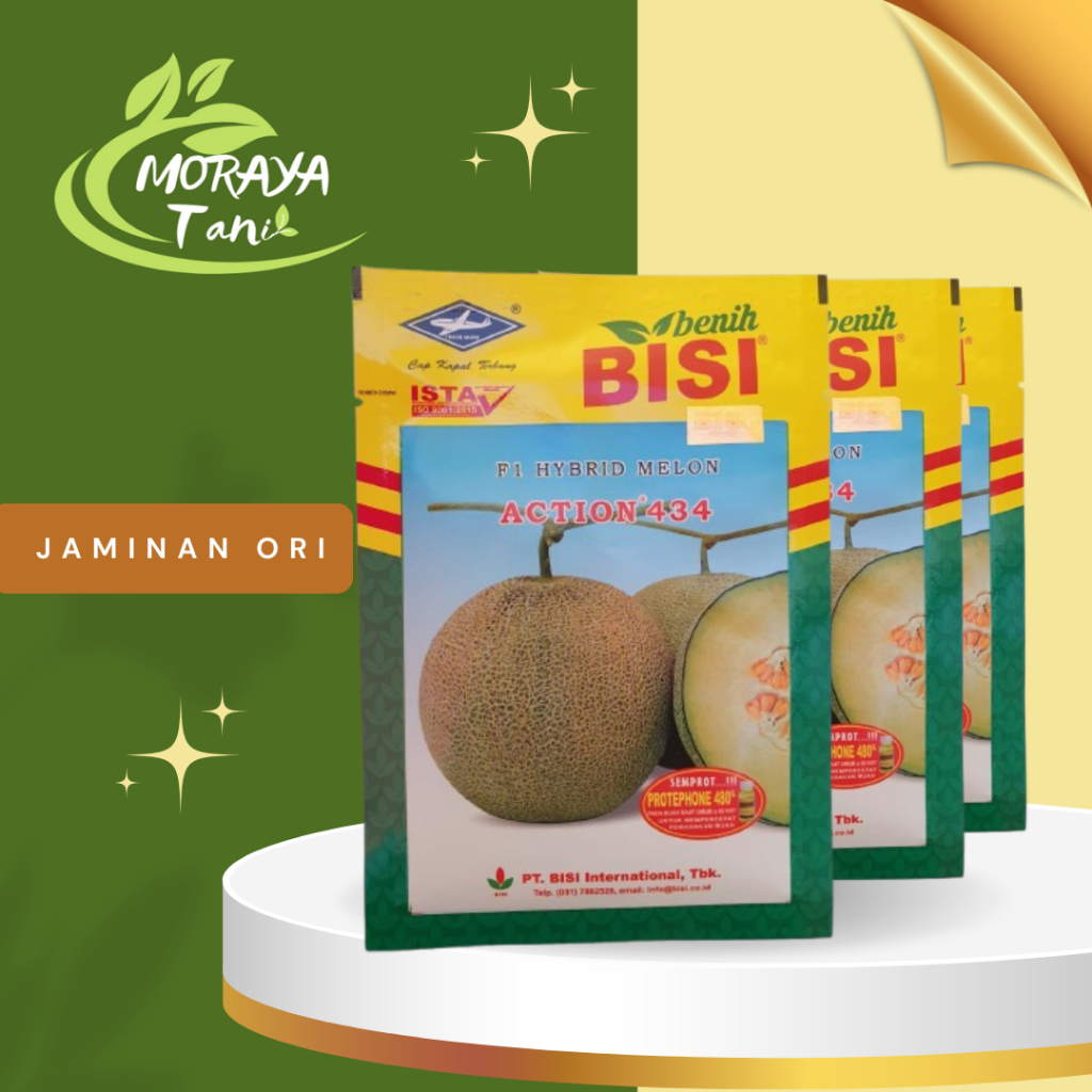 BENIH BIJI MELON ACTION 434 550 BIJI CAP KAPAL TERBANG