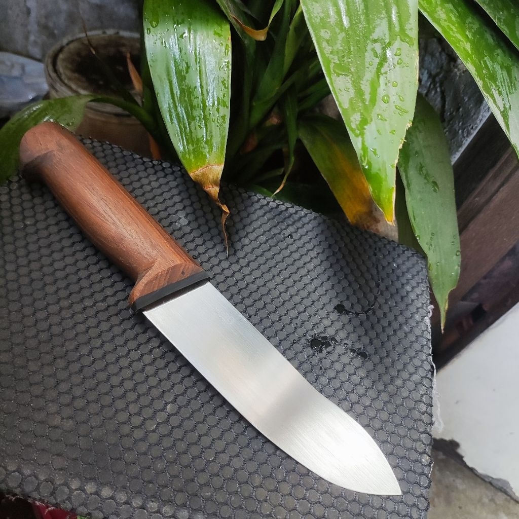 pisau daging, sembelih unggas, seset daging baja d2