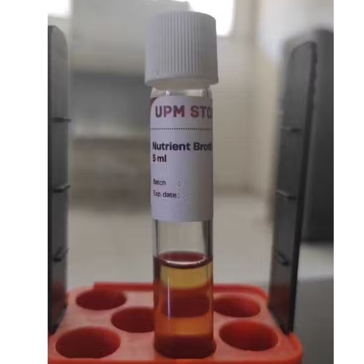 Media kaldu BPW dan BHI - Buffered Peptone Water dan Brain Heart Infusion Broth - Nutrient broth/kal