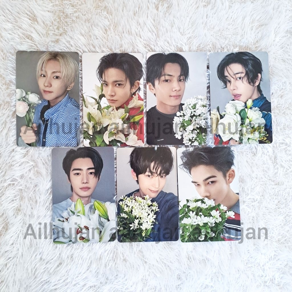 [WEVERSE BUNGA] ENHYPEN photocard weverse bunga lamaran