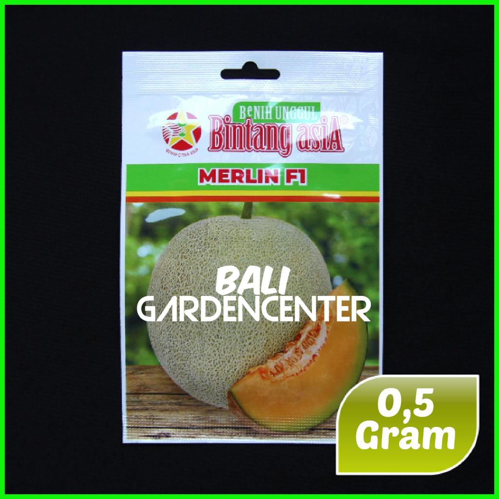 Benih Biji Melon Orange MERLIN - Bintang Asia