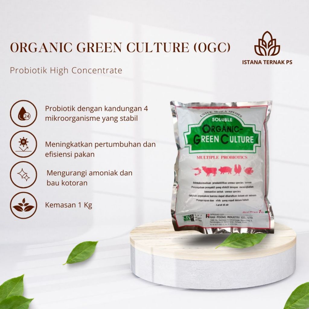 ORGANIC GREEN CULTURE (OGC) ZS 1 KG PROBIOTIK HIGH CONCENTRATE AYAM SAPI IKAN UDANG LACTOBACILLUS AS