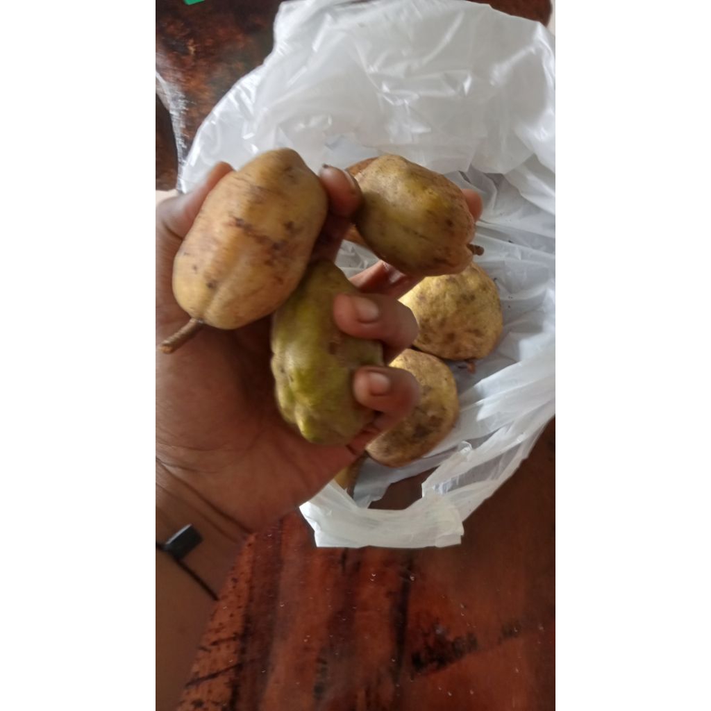 Buah Pokih- Pukih-Namnam segar dijamin fresh per 1kg