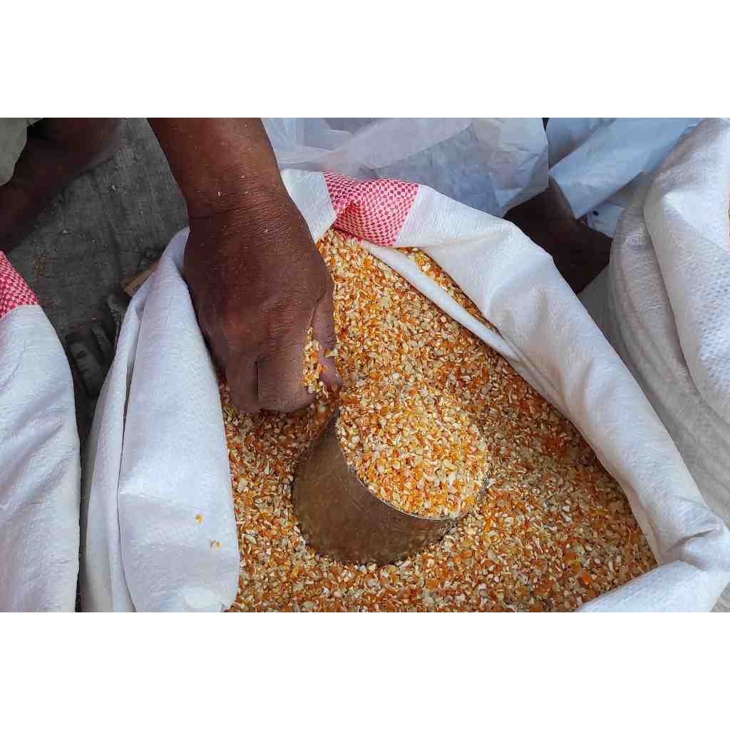 Jagung Pipil Kering