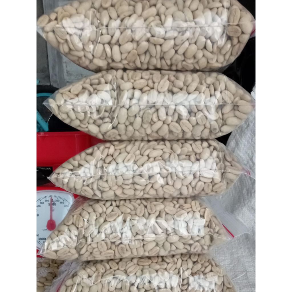 BIBIT KOPI ATENG SUPER..isi 1kg