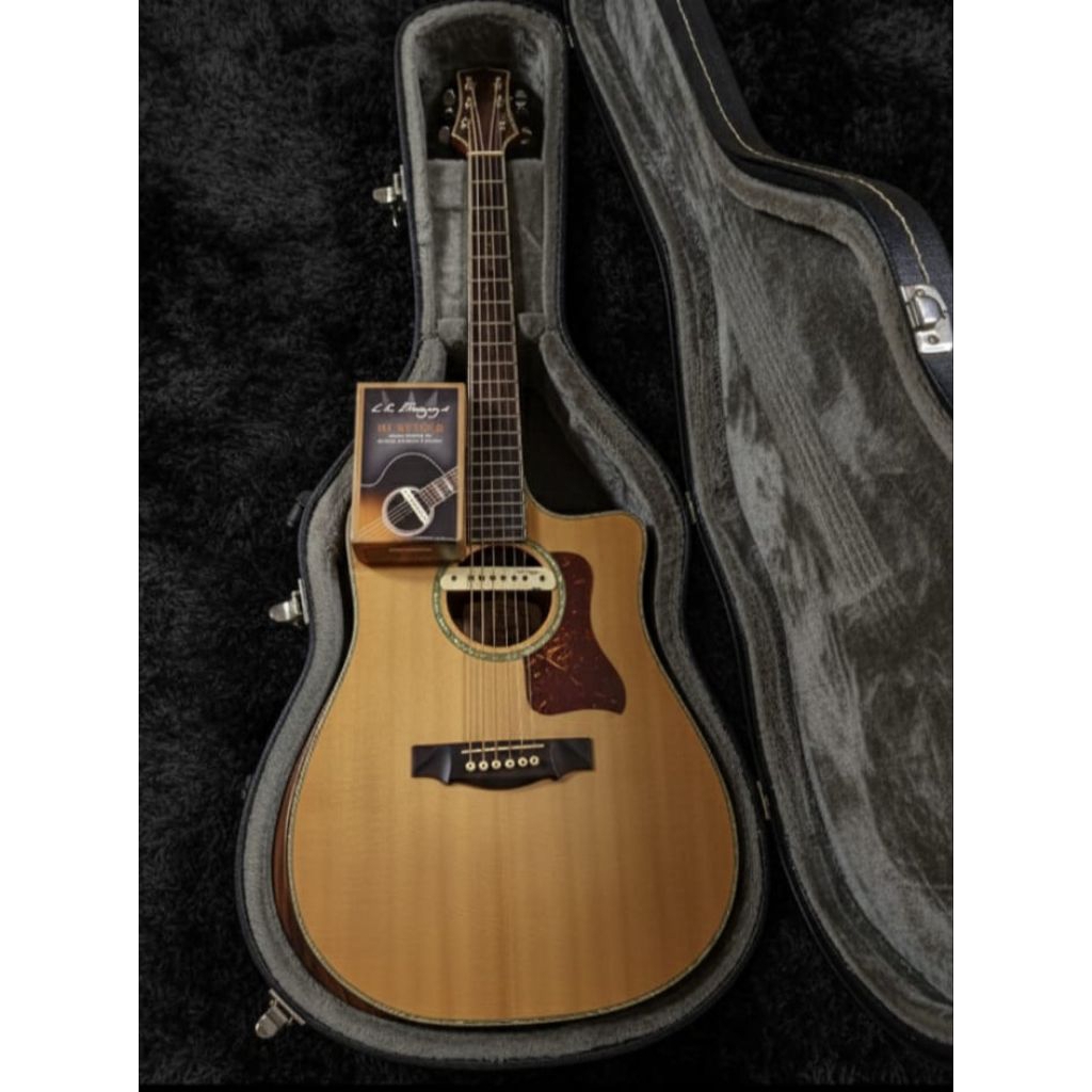 Avirama gitar all solid with LR baggs