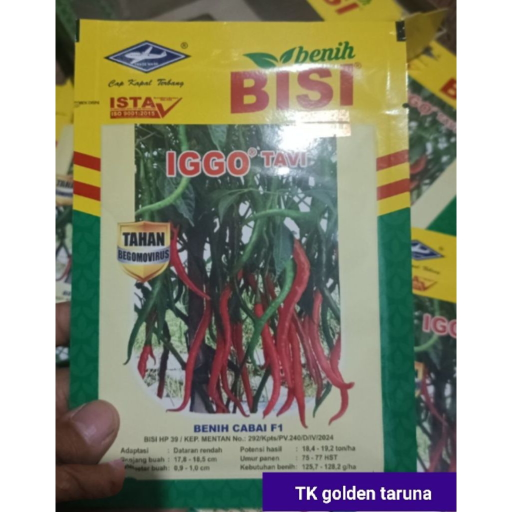 benih cabe keriting IGGO TAVI F1 isi 10 gr