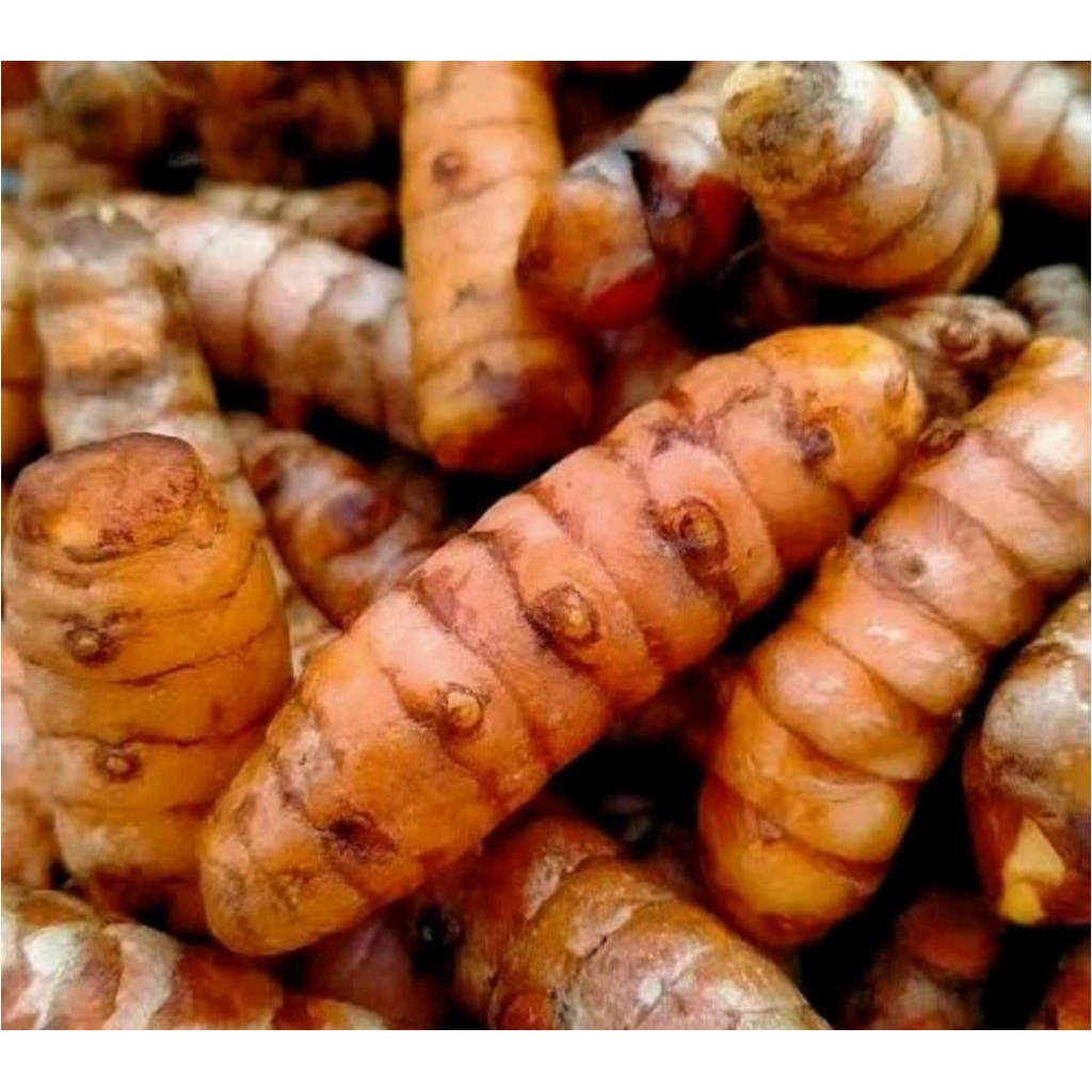 

Kunyit bumbu/kunyit sayur kemasan 200gr