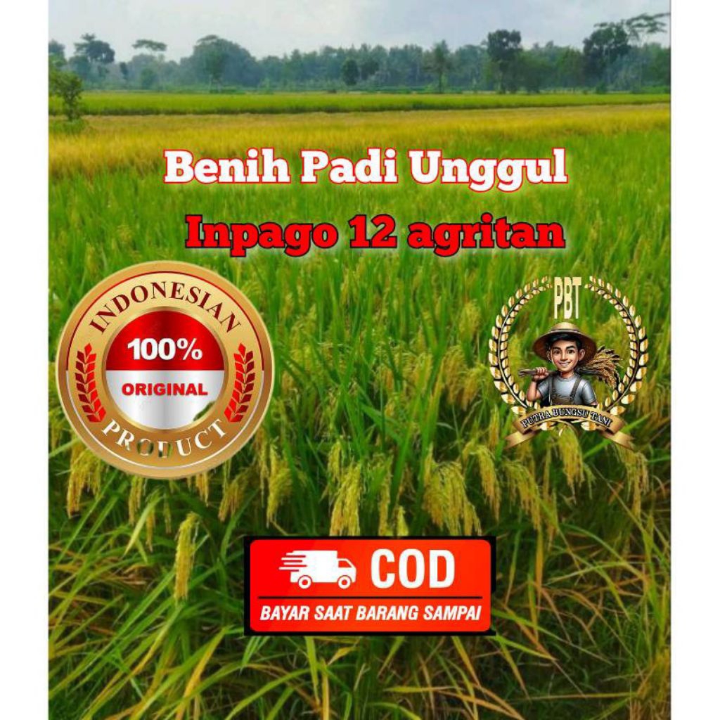 Benih padi inpago 12 agritan kemasan 1kg