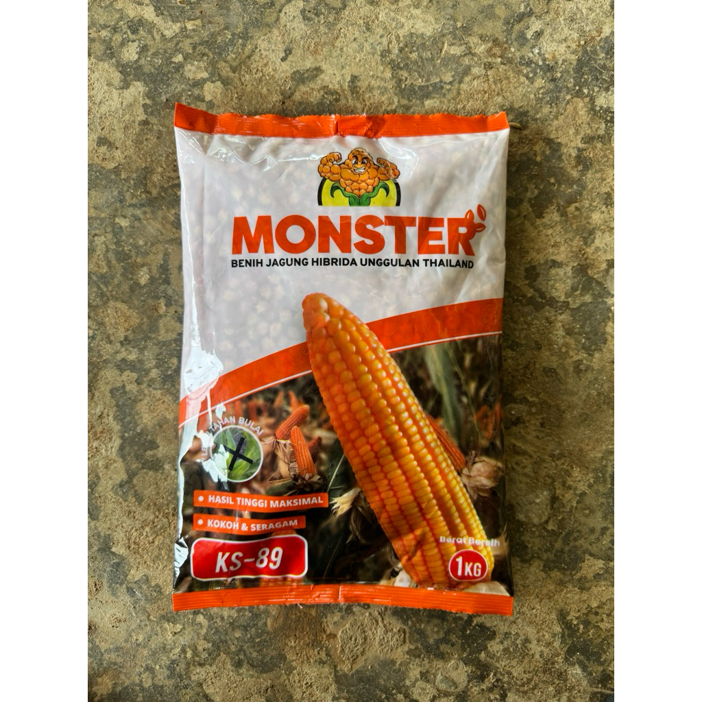 Benih Jagung hibrida KS 89 Monster 1kg
