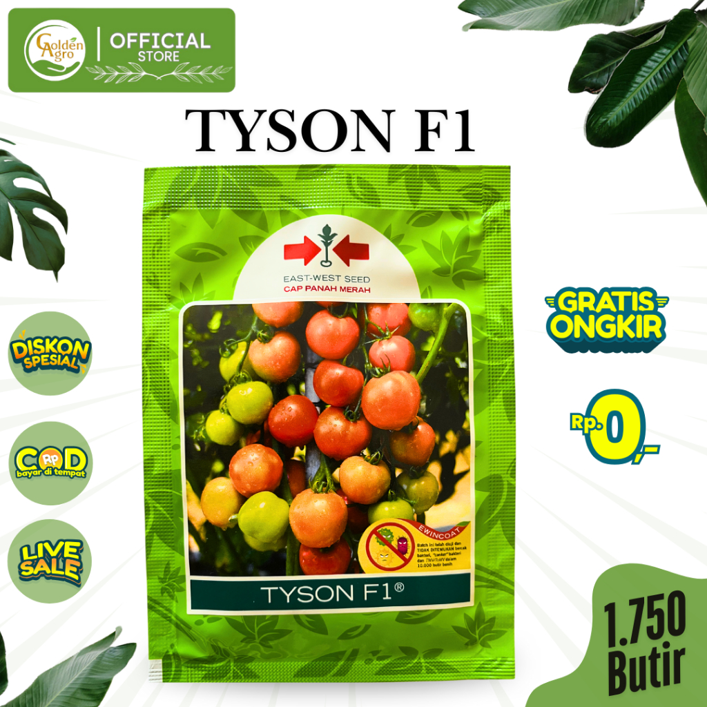 BENIH BIBIT TOMAT TYSON TISON F1 1750 BUTIR JAMINAN ORIGINAL CAP PANAH MERAH