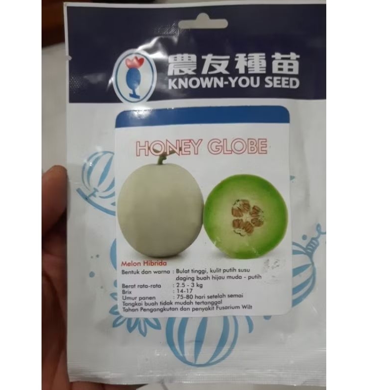 benih melon honey globe