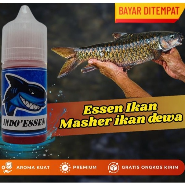 ESSEN IKAN MASHER IKAN DEWA PALING AMPUH ISI 30ML