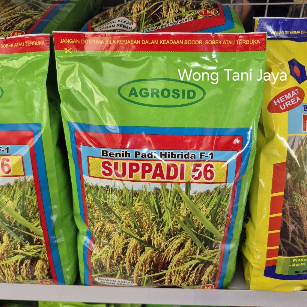 Benih Padi Suppadi 56 Original Kemasan Pabrik 1kg