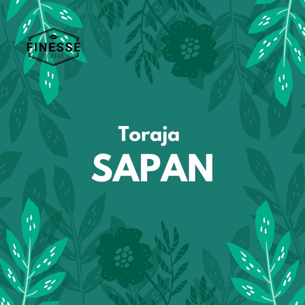 Biji Kopi Mentah Arabika - Toraja Sapan
