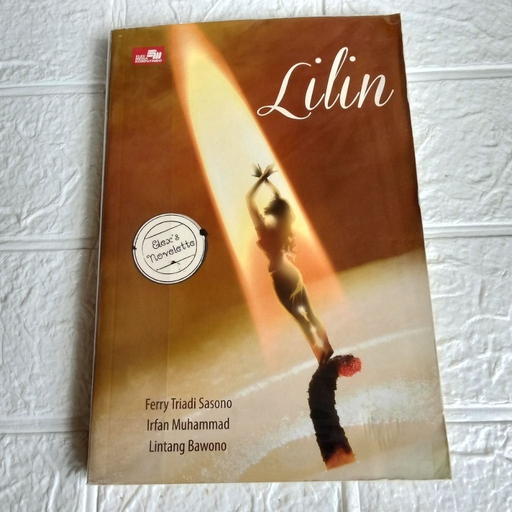 [BUKU NOVEL BEKAS ORIGINAL] NOVEL LILIN