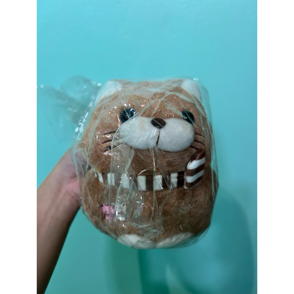 SALE‼️ Boneka kucing coklat