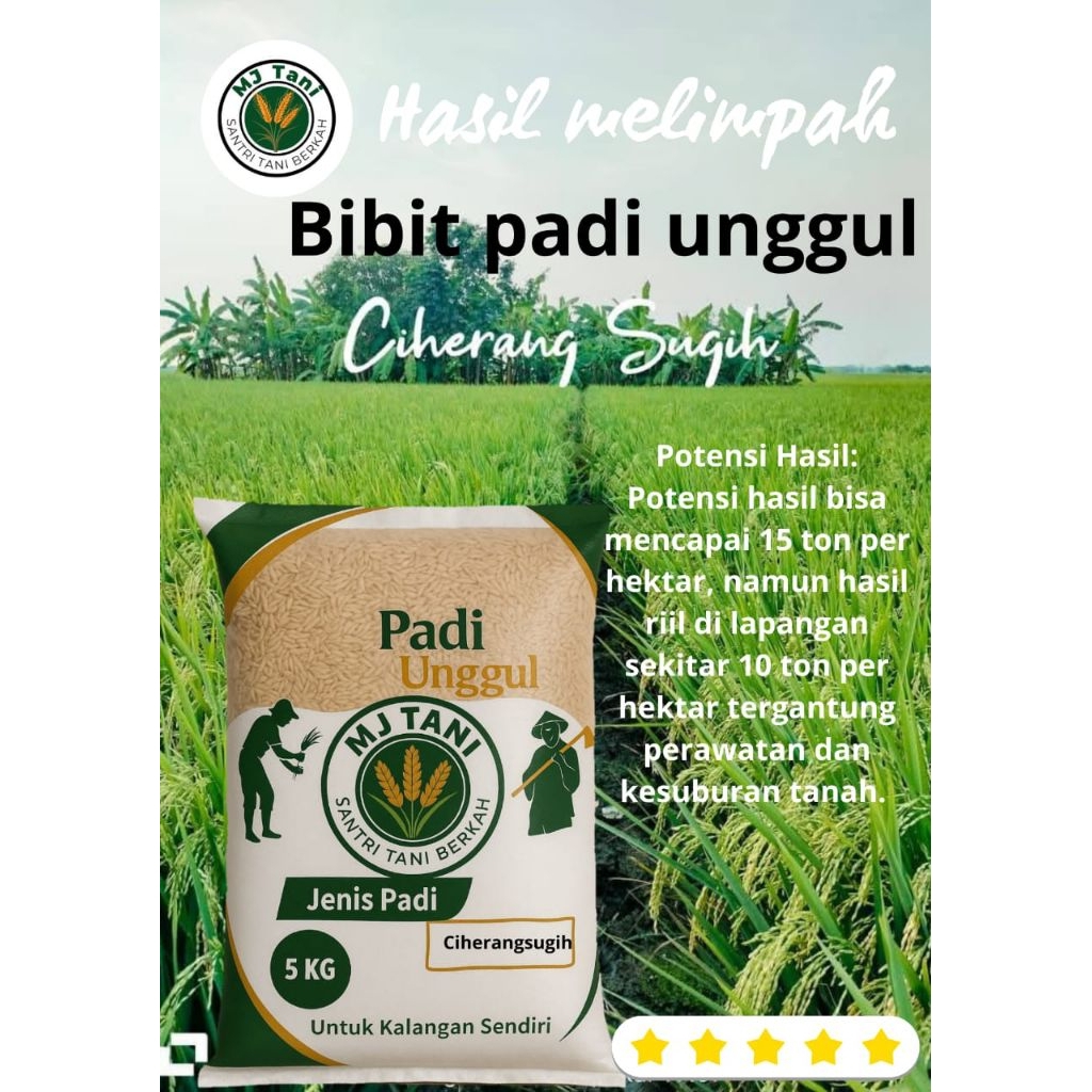 bibit padi ciherang sugih5kg