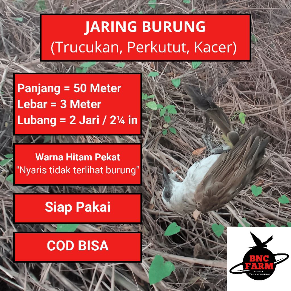 Jaring Burung Trucukan 50 Meter Lebar 3 Meter Warna Hitam Pekat Siap Pasang