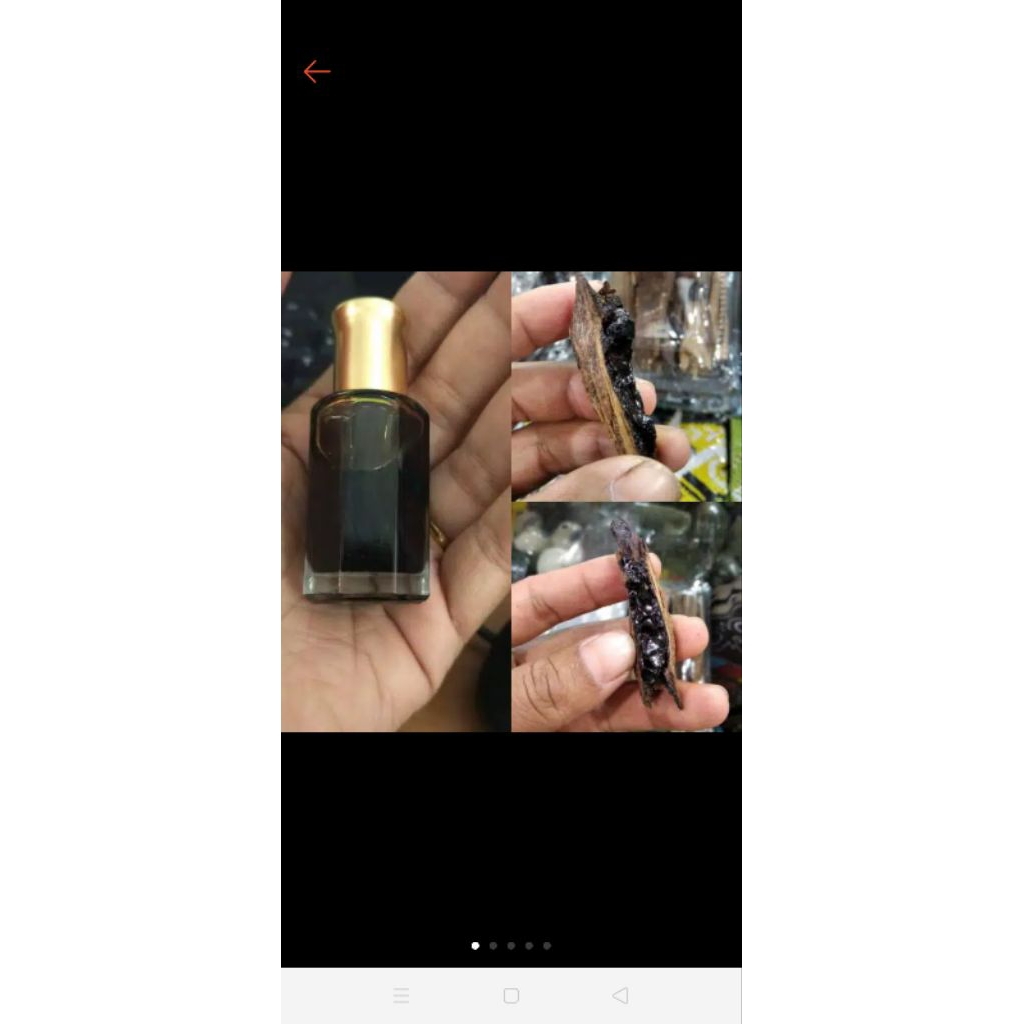 minyak gaharu kalimantan