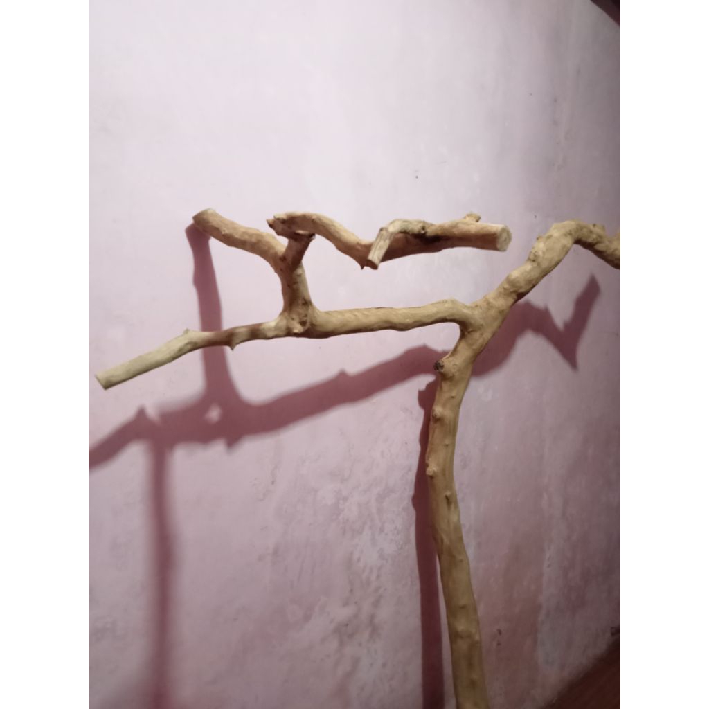 Kayu Tangkringan Burung Aviary Macau Kakak Tua Burung Hantu