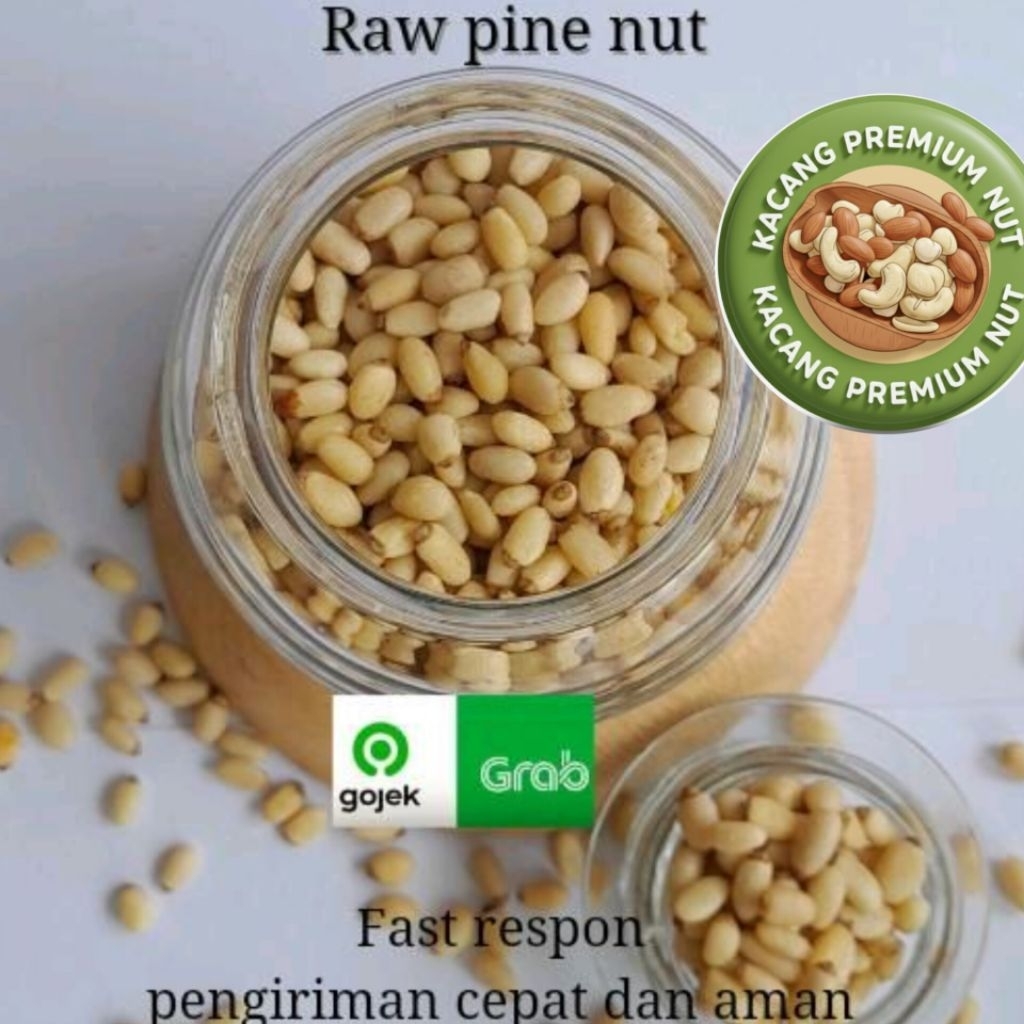 Raw Pine Nut  / Kacang Pinus Mentah