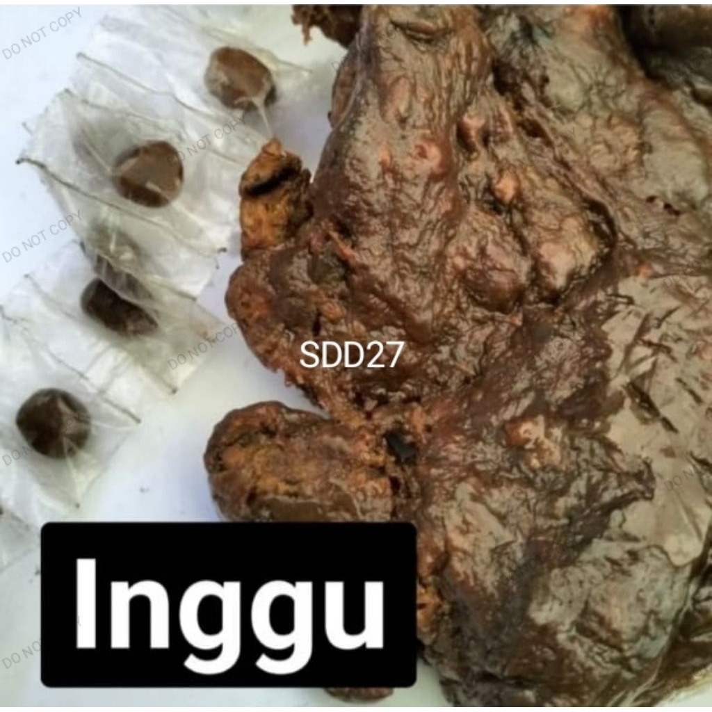 Inggu/Ingguh/Getah Inggu butiran kecil
