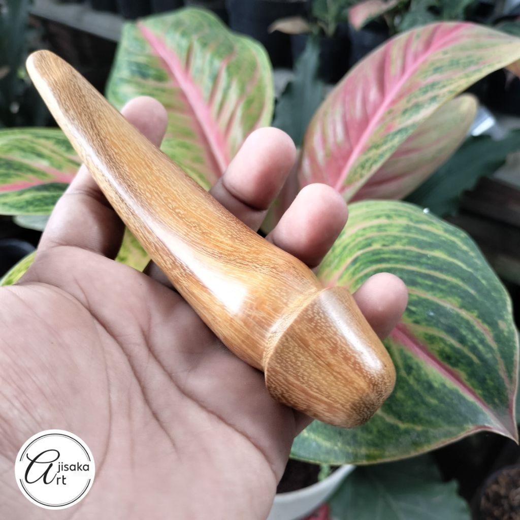 AJISAKA_ART | pipa once / once cangklong unik dan antik kayu kelor emas