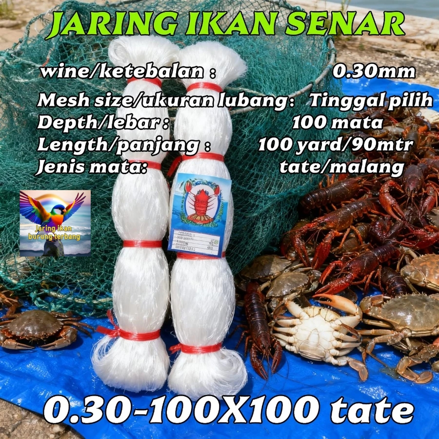 Jaring Ikan Senar Ukuran 0.30x100x100 Tate/Melintang