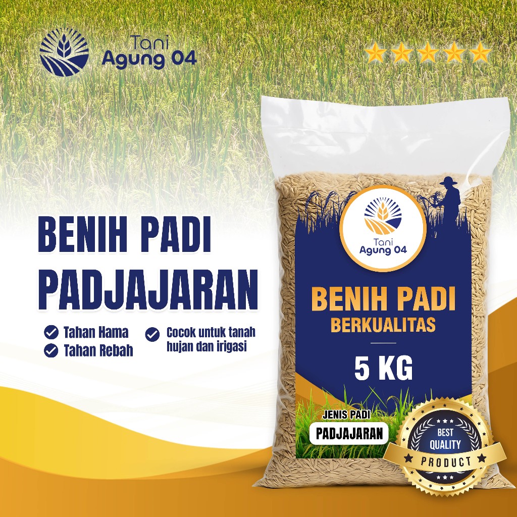 Benih Padi Padjajaran Kemasan 5 KG Premium