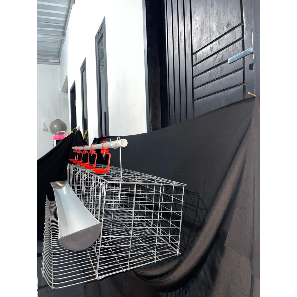 kandang ayam petelur pintu 5 isi 10 ekor