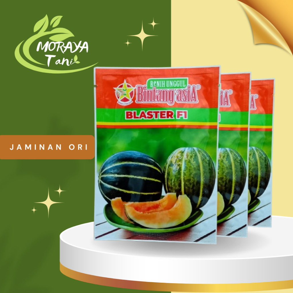 Benih Biji Blewah Blaster isi 15 gram Bintang Asia