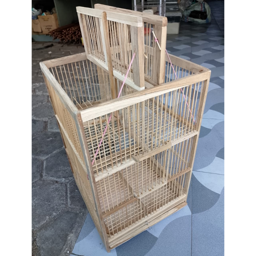 SANGKAR JEBAK DUA PINTU BAGIAN ATAS KANDANG JEBAKAN BURUNG BESAR JALAK TRUCUK PLECI PERKUTUT